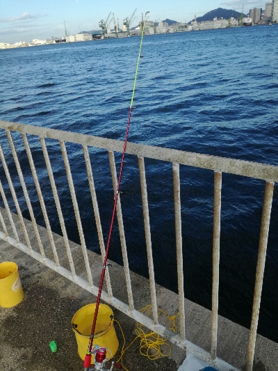 ファミリーフィッシング