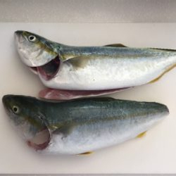 ゴミの中から！