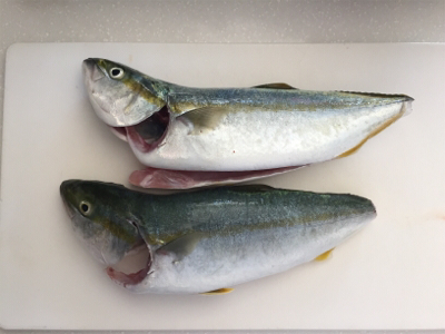 ゴミの中から！