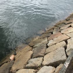 台風後期待して