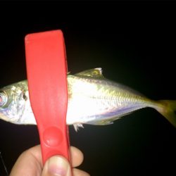 台風後の爆釣狙い