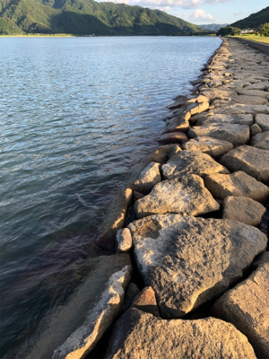 短時間シーバス釣行