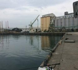 でっかいのんかかって来いや‼️