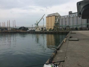 でっかいのんかかって来いや‼️