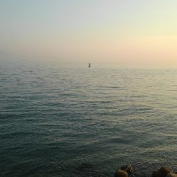 やっと釣れた。