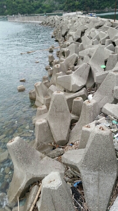 デイライトゲーム