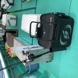 泉州丸さんで鬼アジ調査