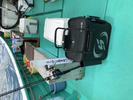 泉州丸さんで鬼アジ調査