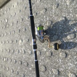 ナイスフィッシュ！