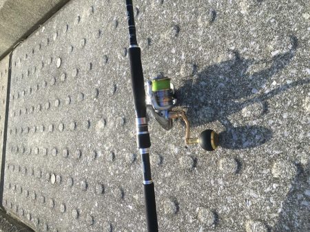 ナイスフィッシュ！