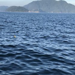 ケンサキイカ撃渋