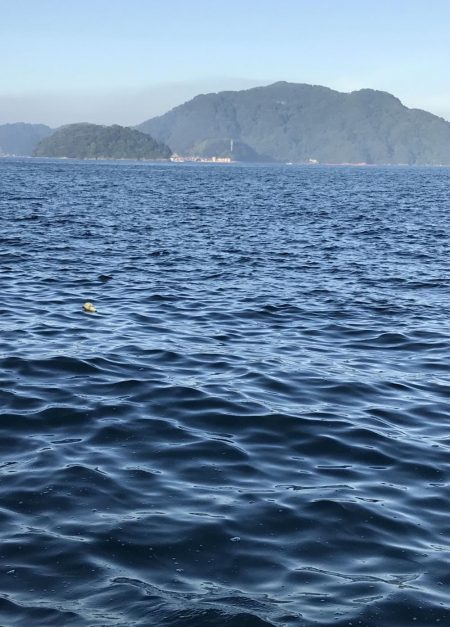 ケンサキイカ撃渋