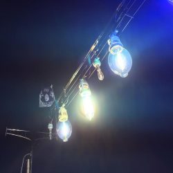 イカは難しいなぁ