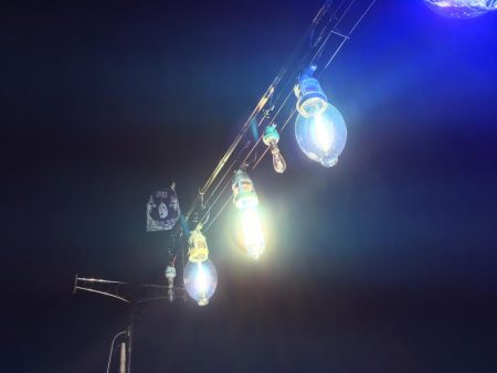 イカは難しいなぁ