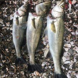 鳴門の激流ポイントにて