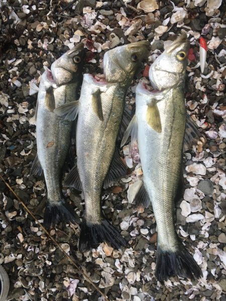 鳴門の激流ポイントにて