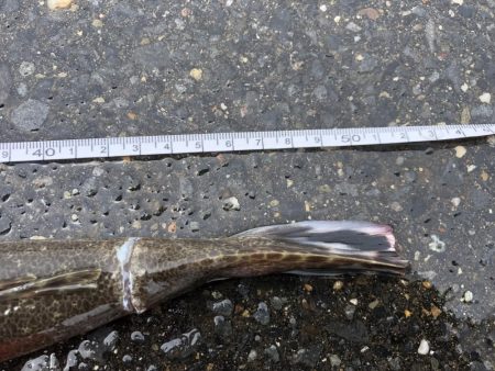 先週に続き今週も