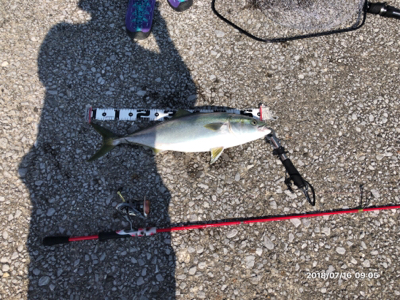 坂ノ市一文字で青物狙い