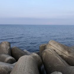 キジハタには出会えず…