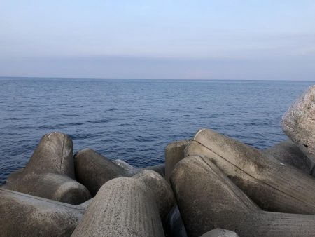 キジハタには出会えず…