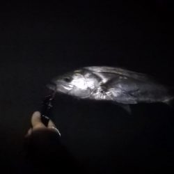 リバーシーバス