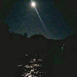 豪雨後イマイチ