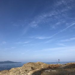 イカこない。小さめのアジが沢山！