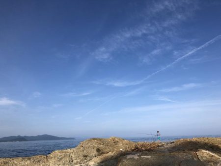 イカこない。小さめのアジが沢山！