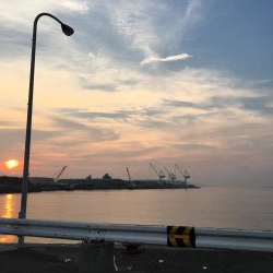 まさかのサゴシ(極小)