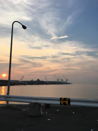 まさかのサゴシ(極小)