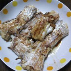 本日はカサゴ２匹と太刀魚狙いでの小鯖のみ