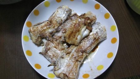 本日はカサゴ２匹と太刀魚狙いでの小鯖のみ