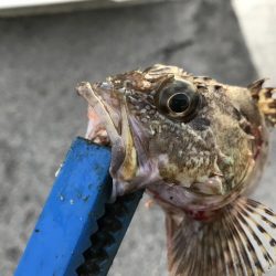 出勤前に。part13