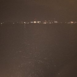 夜釣りに行って。