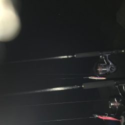 サバサバサバ〜