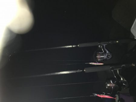 サバサバサバ〜