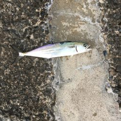 またまた仕事終わりに