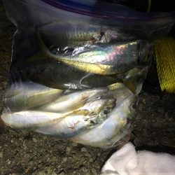 フロートアジング&持ち主探してます