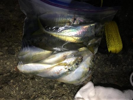 フロートアジング&持ち主探してます