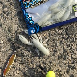 数も型もイマイチ