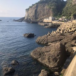 ようやくカサゴ