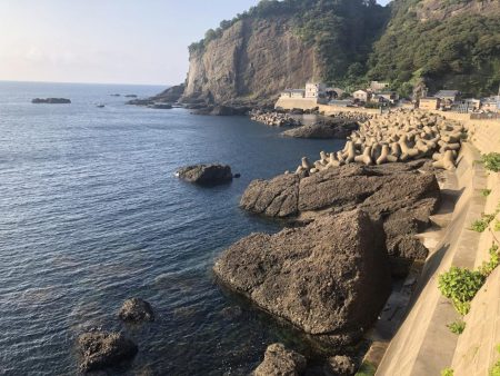 ようやくカサゴ