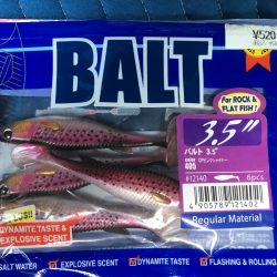 キジハタ&連子鯛 ！