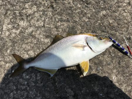 ショアジギング