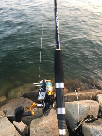 クーラー持ってないときに限ってアコウ