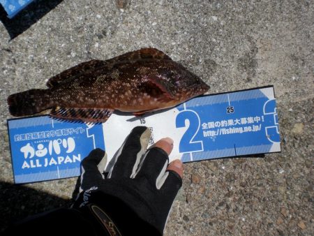 今日もいた！！