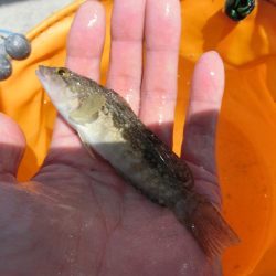 猛暑短時間キス狙い