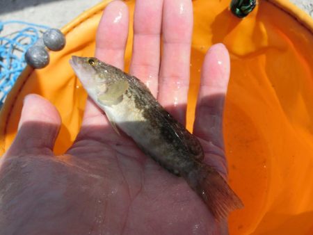 猛暑短時間キス狙い