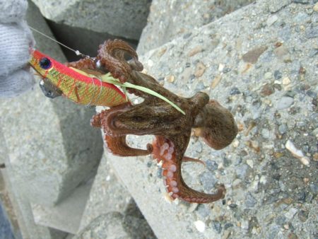 さすがに暑すぎる