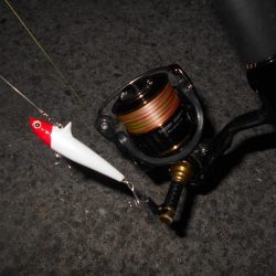 シーバスも夏バテ気味？。